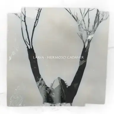 Hermoso cadáver