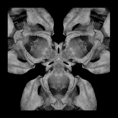 Transformation II