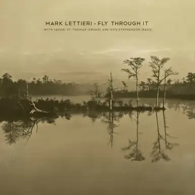 Fly Through It