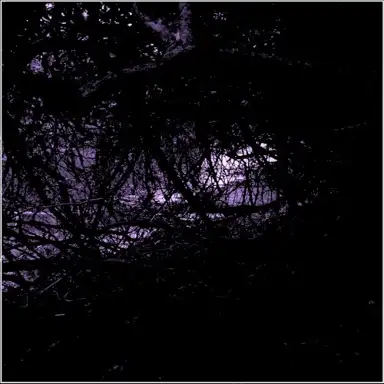 Untitled (2006)