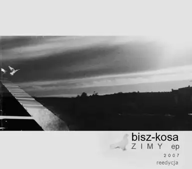 Zimy
