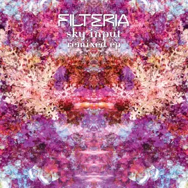 Sky Input Remixed EP