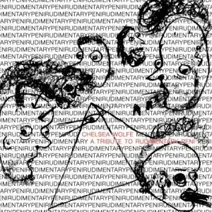 A Tribute to Rudimentary Peni