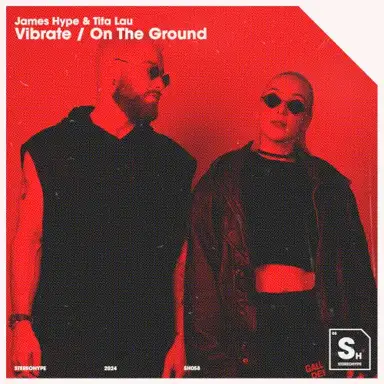 Vibrate / On the Ground