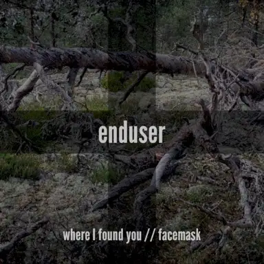 Where I Found You / Facemask