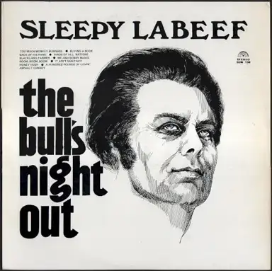 The Bull's Night Out