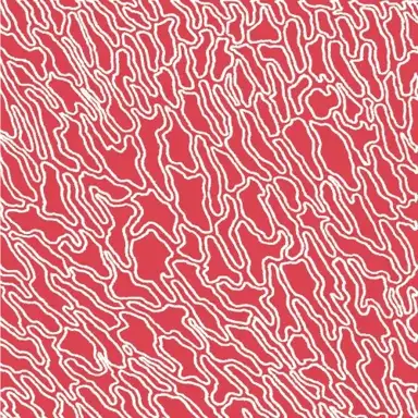 Danzaguida