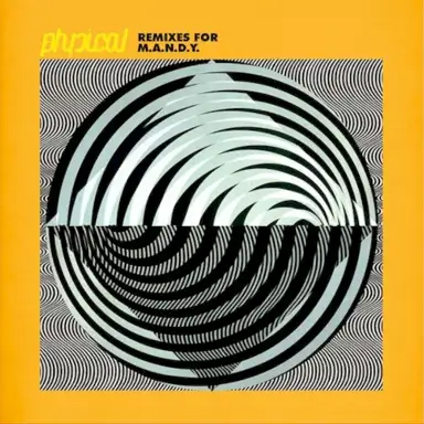 Remixes For M.A.N.D.Y.