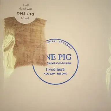 One Pig: A Life In 3 Minutes