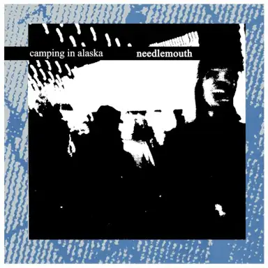 Needlemouth