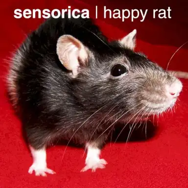 Happy Rat