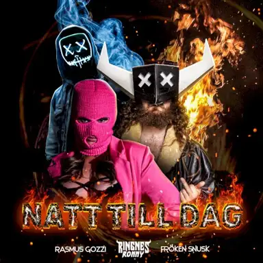 NATT TILL DAG