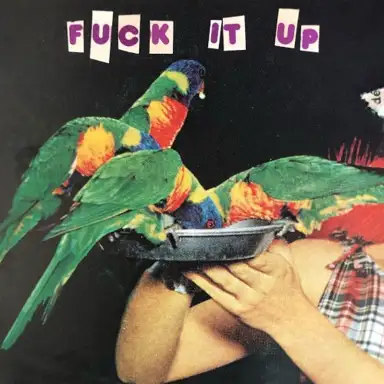 FUCK IT UP