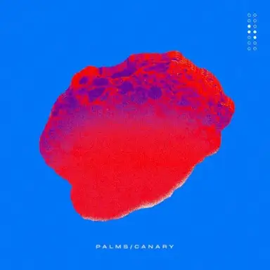 Palms/Canary