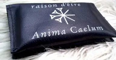 Anima Caelum