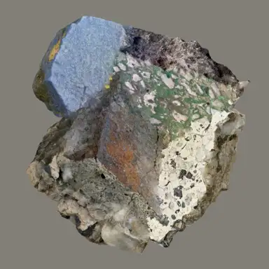 31