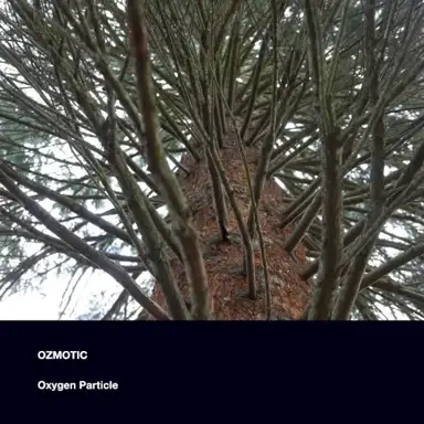 Oxygen Particle