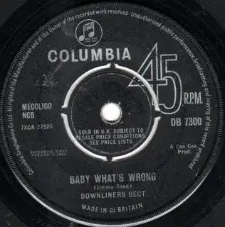 Baby What's Wrong / Be a Sect Maniac