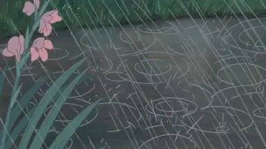 Rain