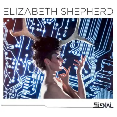 The Signal