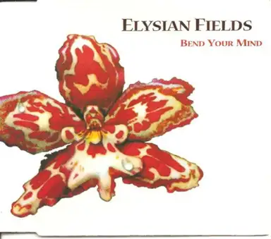 Bend Your Mind