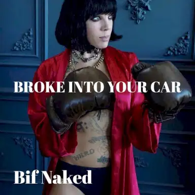 Broke Into Your Car