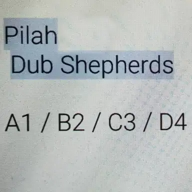 A1/B2/C3/D4