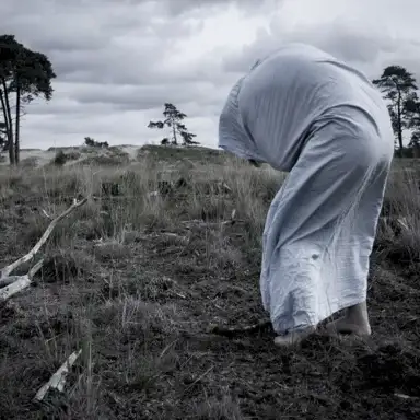 Shallow Pools of Grief