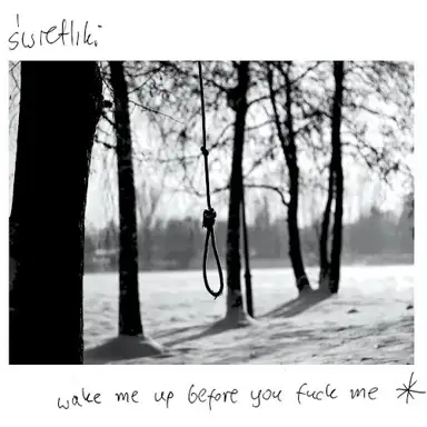 Wake Me Up Before You Fuck Me