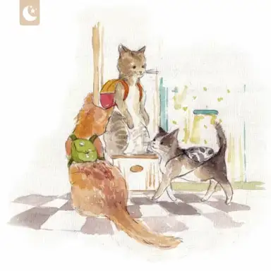 cat’s journey