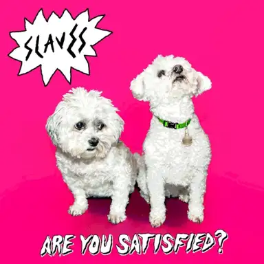 Are You Satisfied?