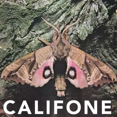 Insect Courage