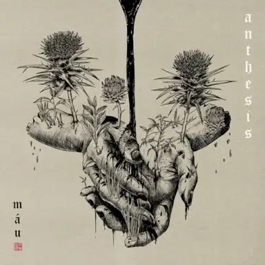Anthesis