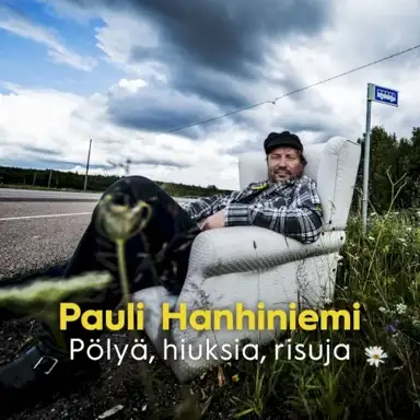 Pölyä, hiuksia, risuja