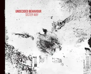 Undecided Behaviour