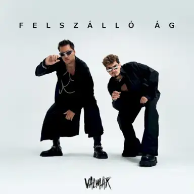 Felszálló Ág