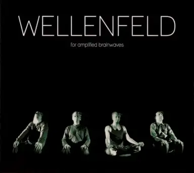 Wellenfeld