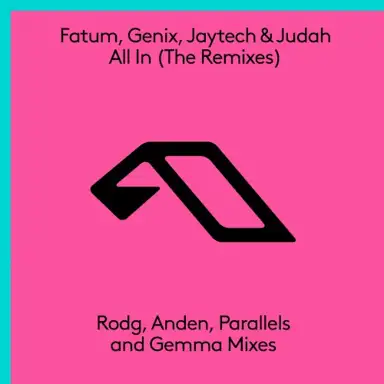 All In (The Remixes)
