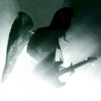 Vivants