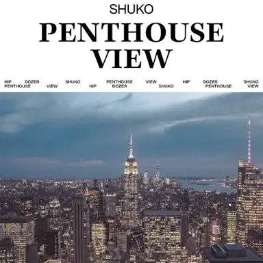 Penthouse View