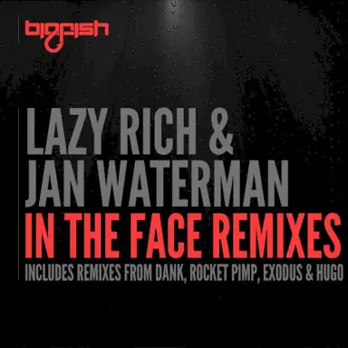 In the Face Remixes