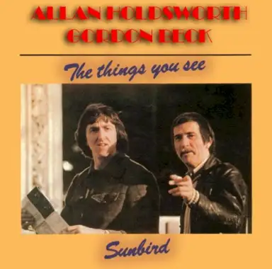 The Things You See / Sunbird