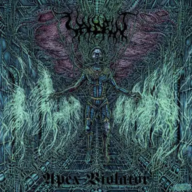 Apex Violator