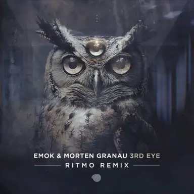 3rd Eye (Ritmo remix)
