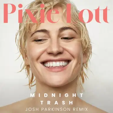 Midnight Trash (Josh Parkinson remix)