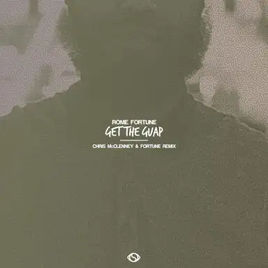 Get the Guap (Chris McClenney & Fortune. remix)