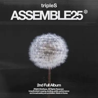 <ASSEMBLE25>