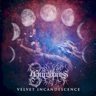 Rise From Disillusion