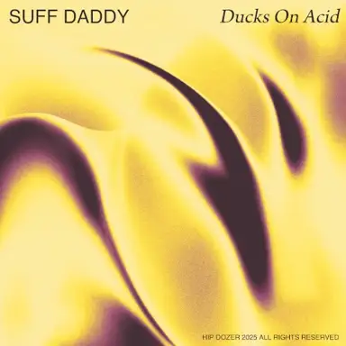 Ducks on Acid