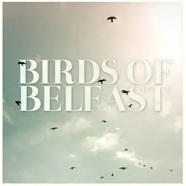 Birds of Belfast